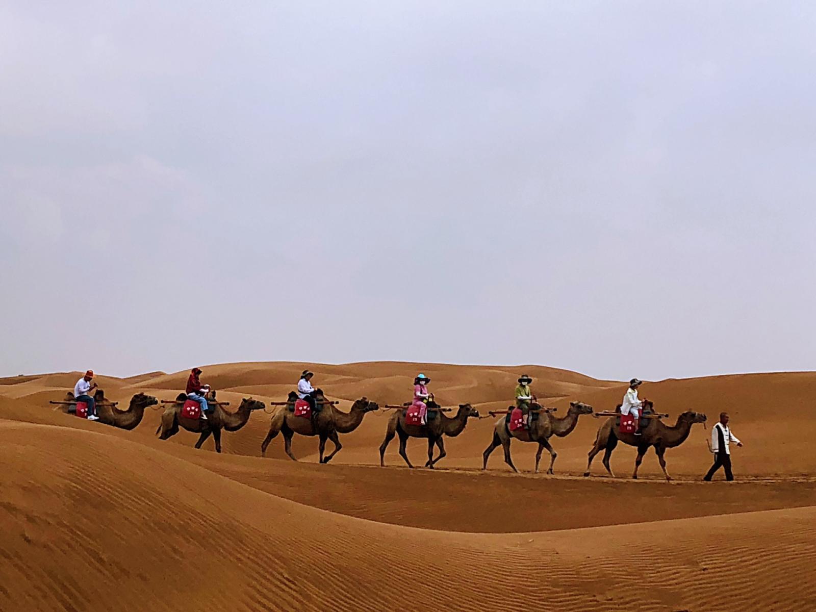兰州出发宁夏3日自驾路书：中卫沙坡头通湖草原-沙湖-西部影视城3日宁夏自驾游