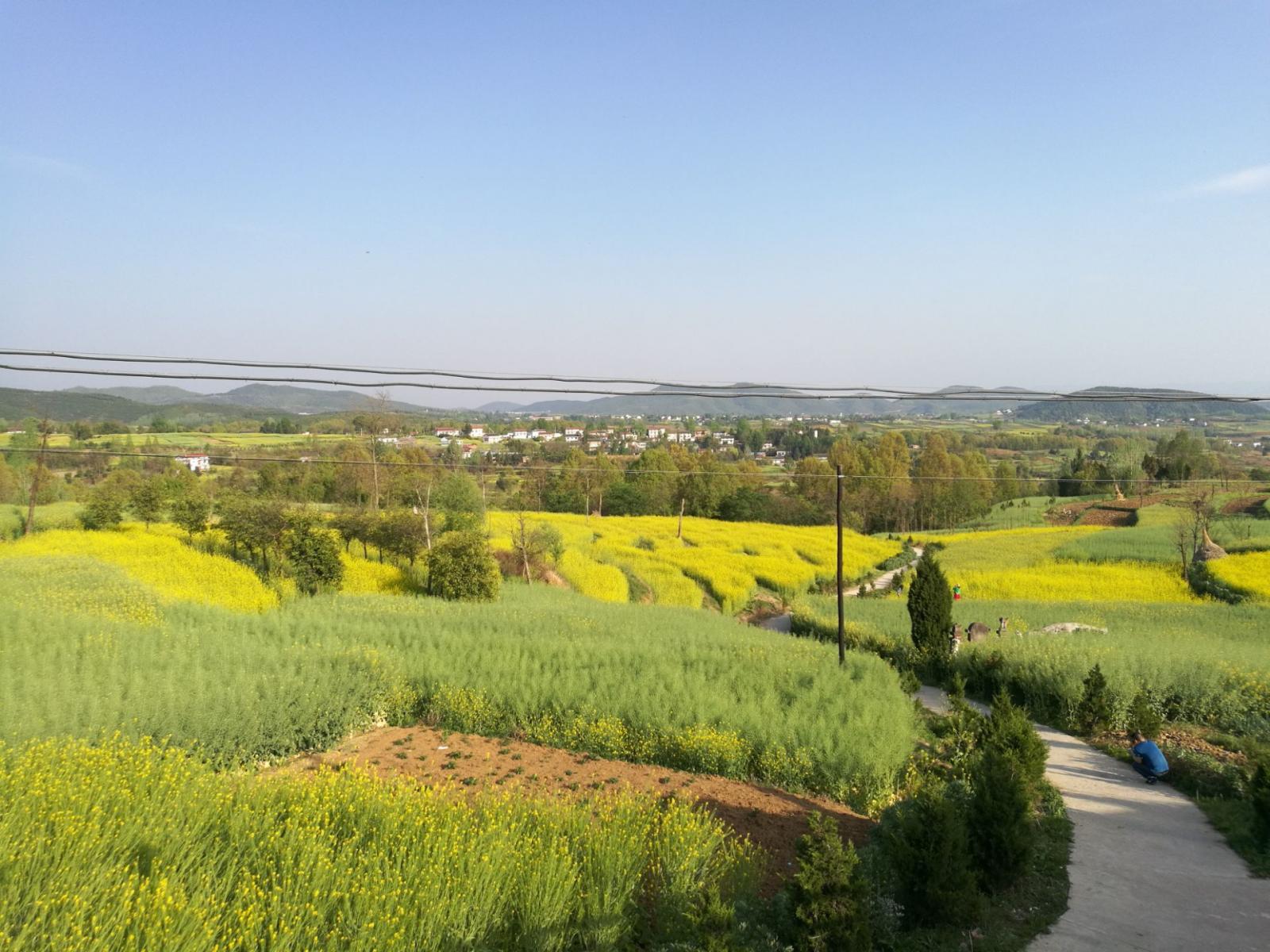 西安出发汉中2日自驾路书：汉中油菜花海-红寺湖-勉县武侯祠-石门栈道2日汉中自驾游