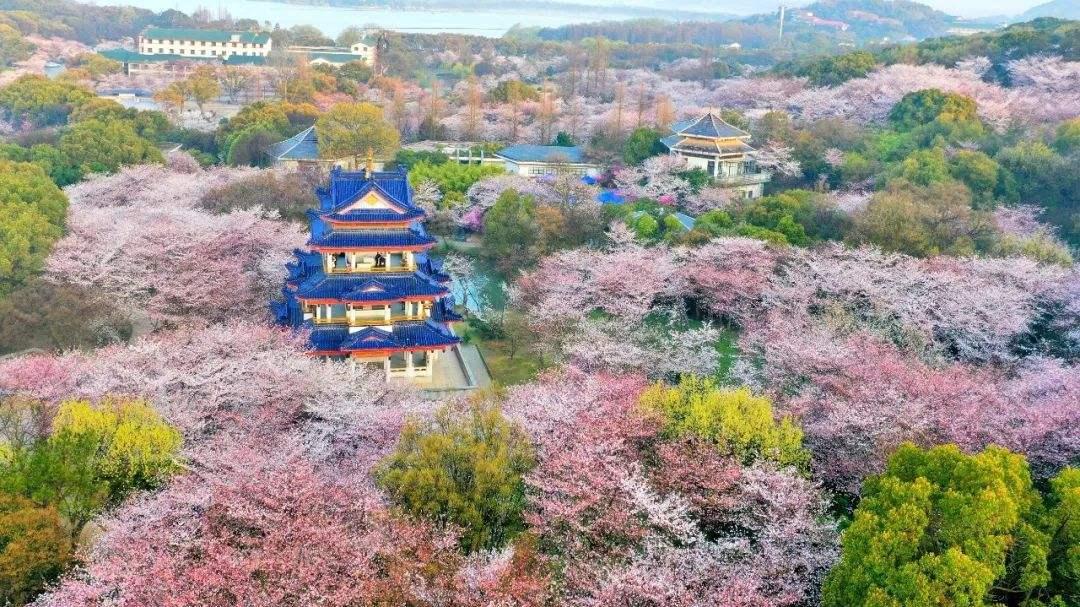  山东出发江苏5日自驾路书：李中水上森林-瘦西湖-拈花湾-太湖-拙政园5日江南自驾游