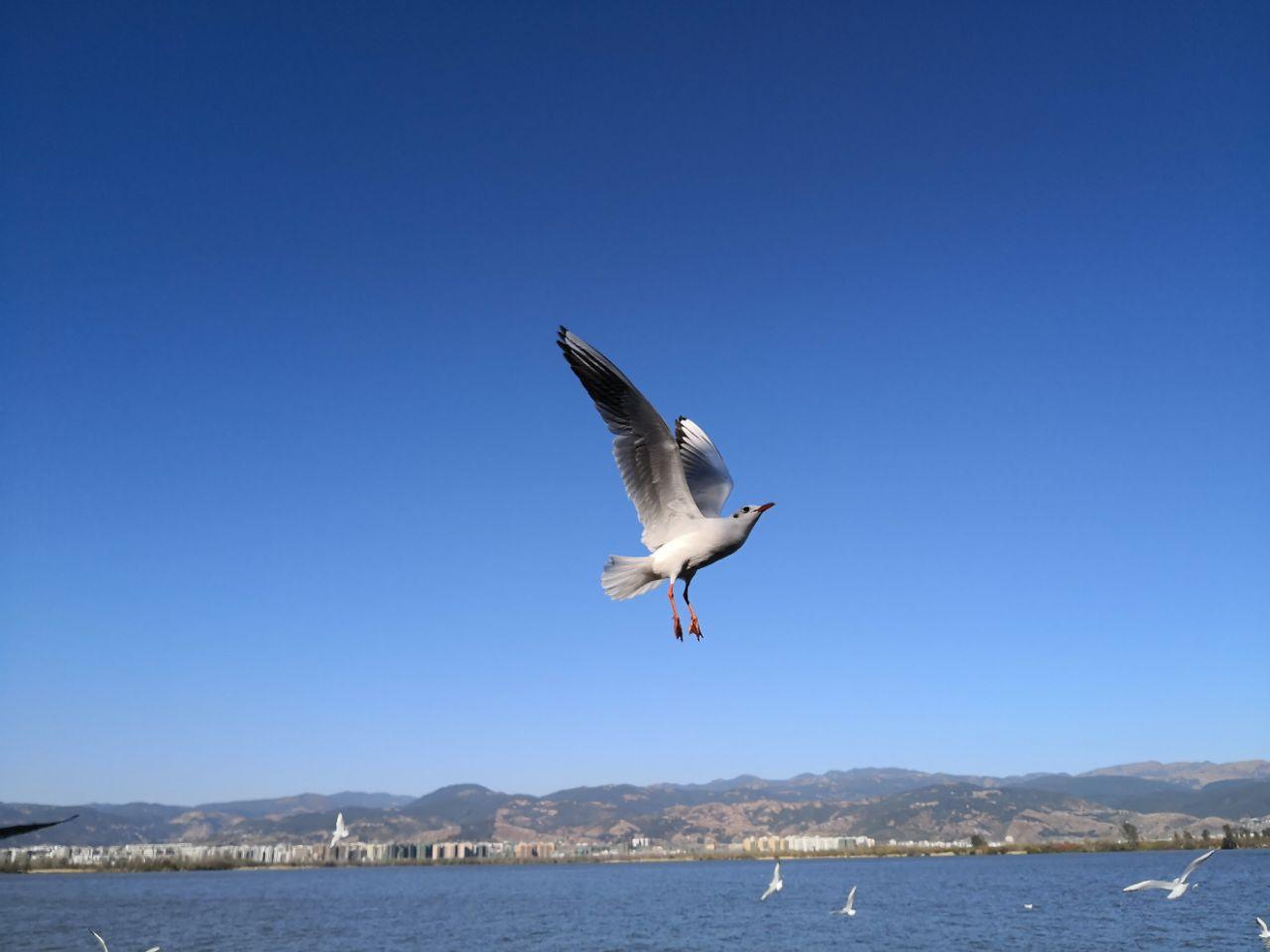 攀枝花出发凉山州3日自驾路书：西昌安哈彝寨-邛海-宁南凯地里拉温泉3日自驾游