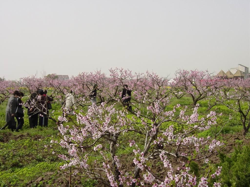 长沙到益阳两日自驾路书：益阳云台山神仙岩、常德桃花源、沅江游船两日自驾游