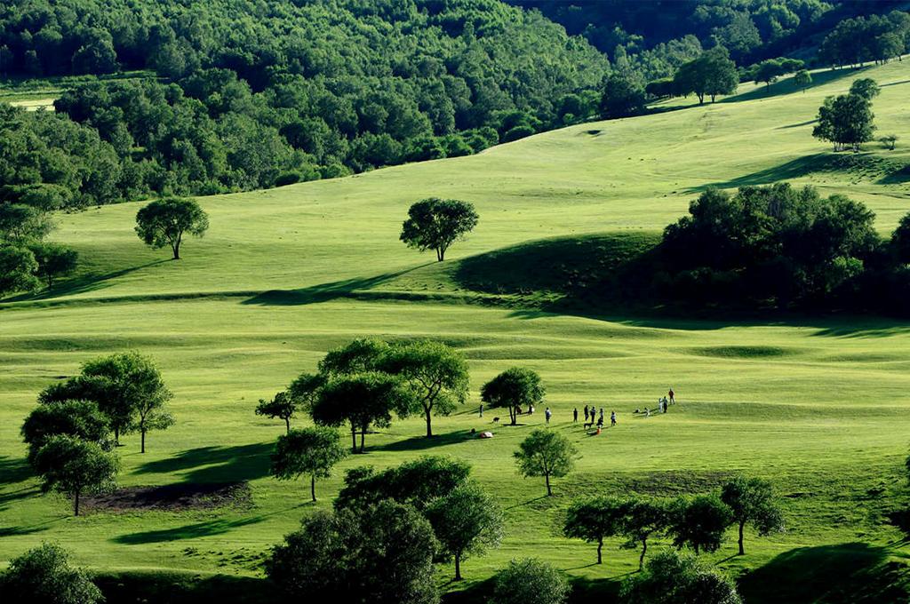 山东出发内蒙古7日草原自驾游：锡林郭勒-乌兰布统-阿斯哈图石林-黄岗梁7日自驾游