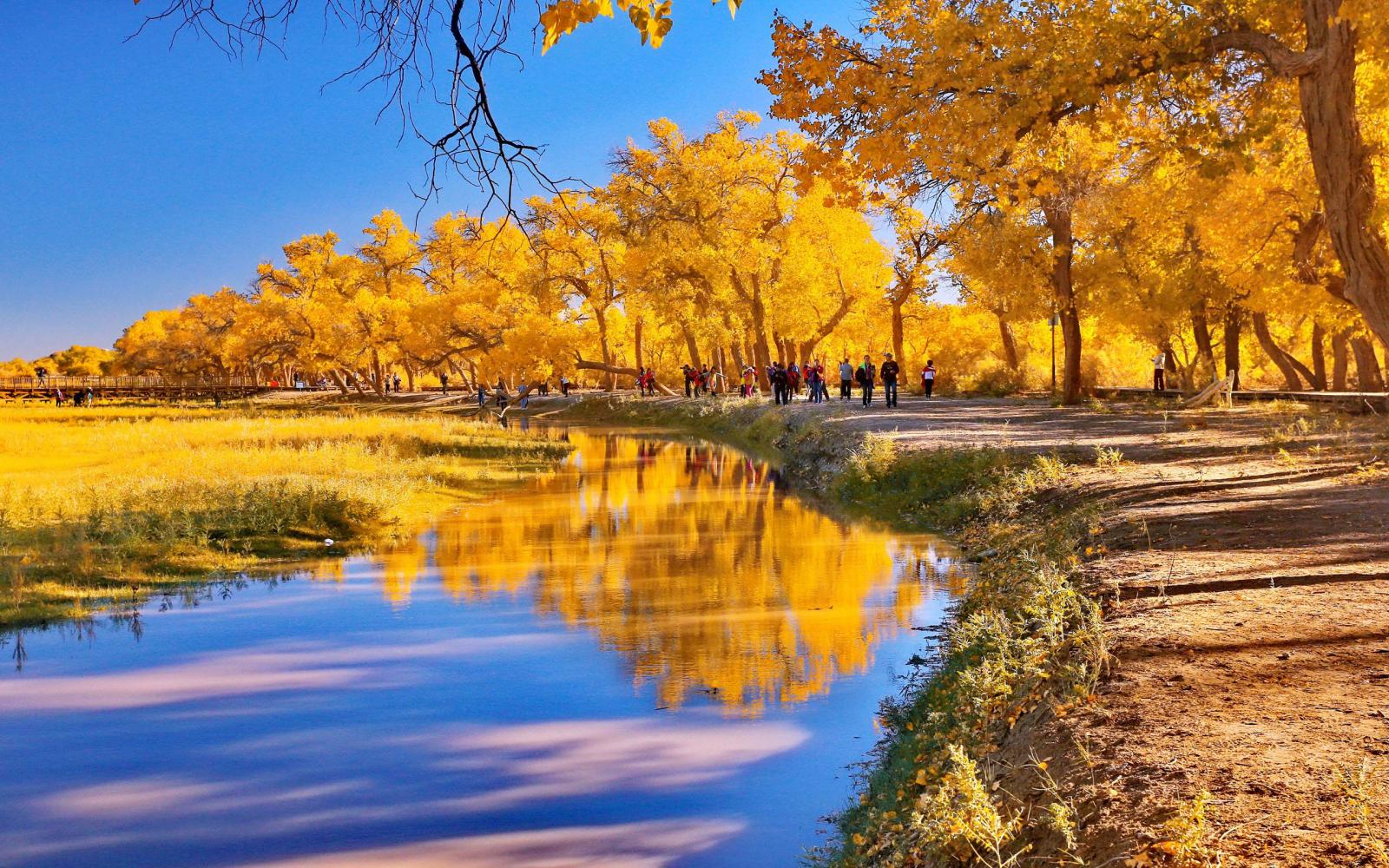 青岛出发额济纳8日西北环线自驾游:胡杨林-怪树林-雨岔大峡谷-居延海-黑水城-壶口瀑布