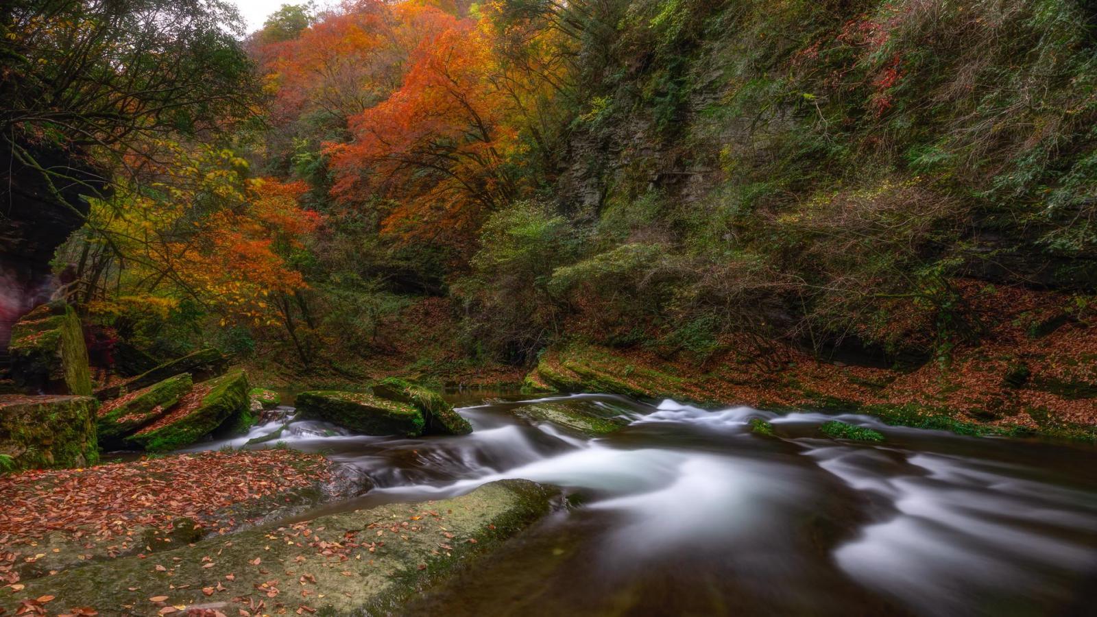 成都出发汉中2.5日自驾：黎坪红叶-汉中兴汉胜境-天汉传奇演出2.5日自驾