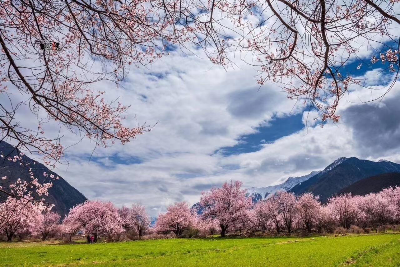 4-10月成都集合川藏线进青藏线出13日经典西藏自驾游：新都桥-世界高城理塘-林芝-拉萨-羊湖纳木措-翡翠湖13日自驾游