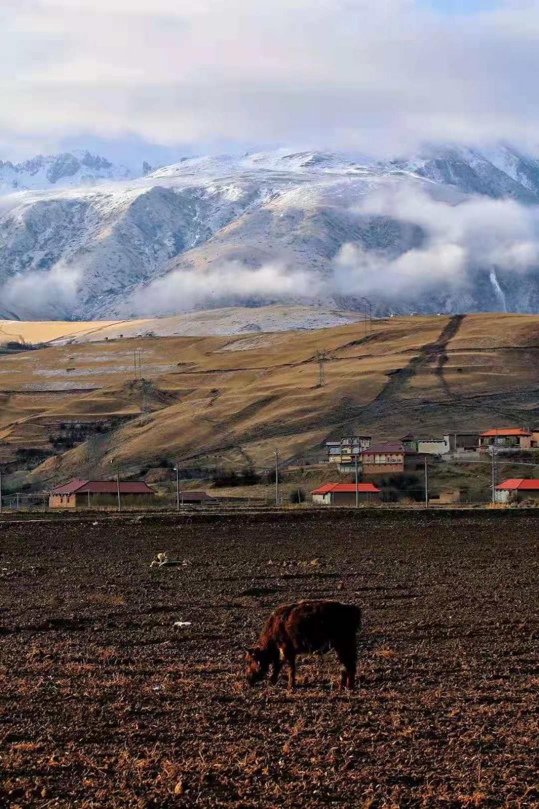 5-10月成都出发川藏滇藏青藏15日西藏自驾游：G318川藏线-稻城亚丁-滇藏线-拉萨-青藏线15日自驾游