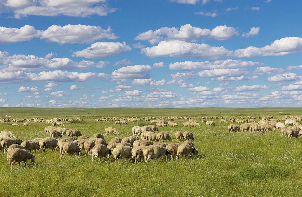 山东出发自驾内蒙古锡林郭勒大草原5日游：锡林郭勒大草原 达达线 热阿线 梦幻河漂流5日自驾游