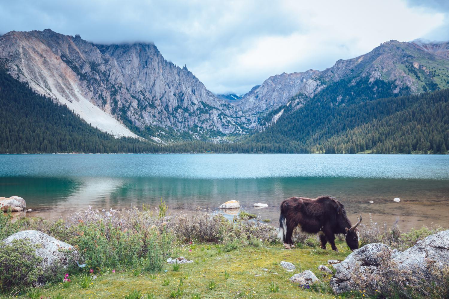 成都出发川西6日自驾游：措普沟-勒通古镇-丁真家乡理塘-措卡湖-卡萨湖-格萨尔王城-姊妹湖6日自驾游