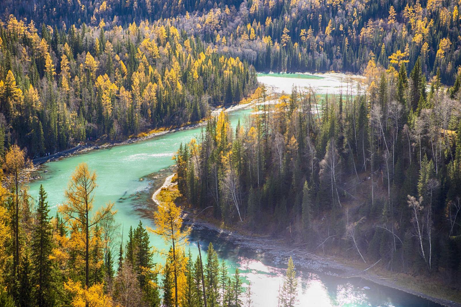 金秋喀纳斯·边陲小村禾木·可可托海白桦林·乌尔禾胡杨林·沉醉秋色8日深度落地自驾游