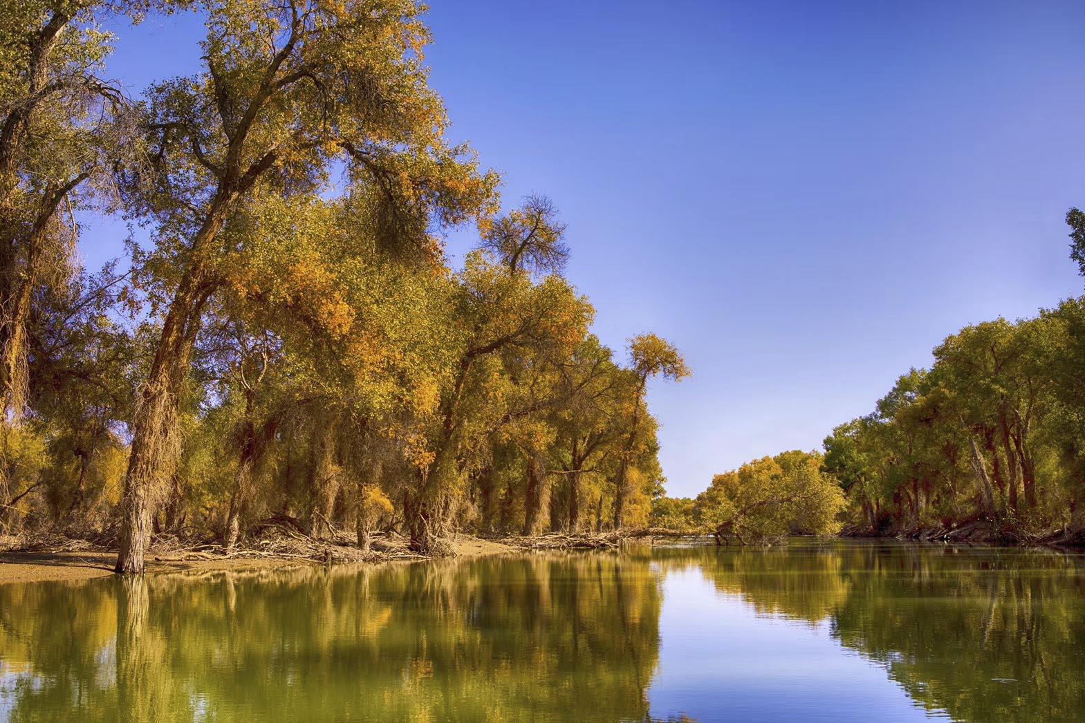 千年古城喀什·峡谷之王温宿大峡谷·巴楚·沙雅万亩胡杨林·帕米尔高原·南疆风情9日落地自驾游