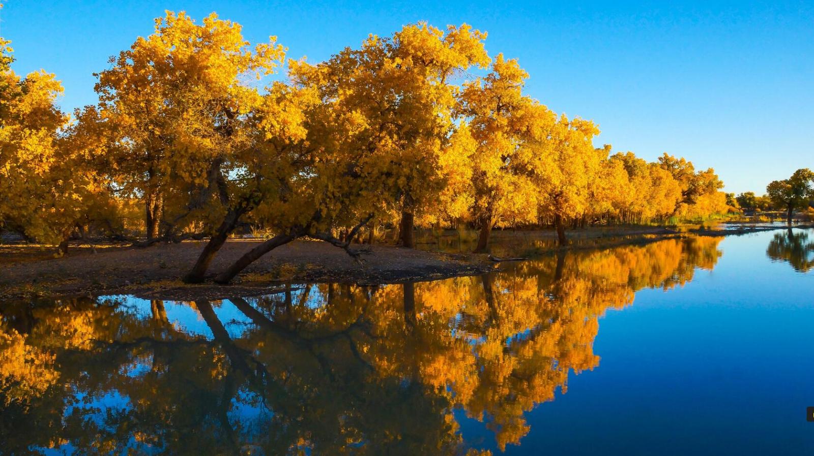 额济纳旗胡杨林+巴丹吉林沙漠6日自驾   三千年的守望只为你的到来