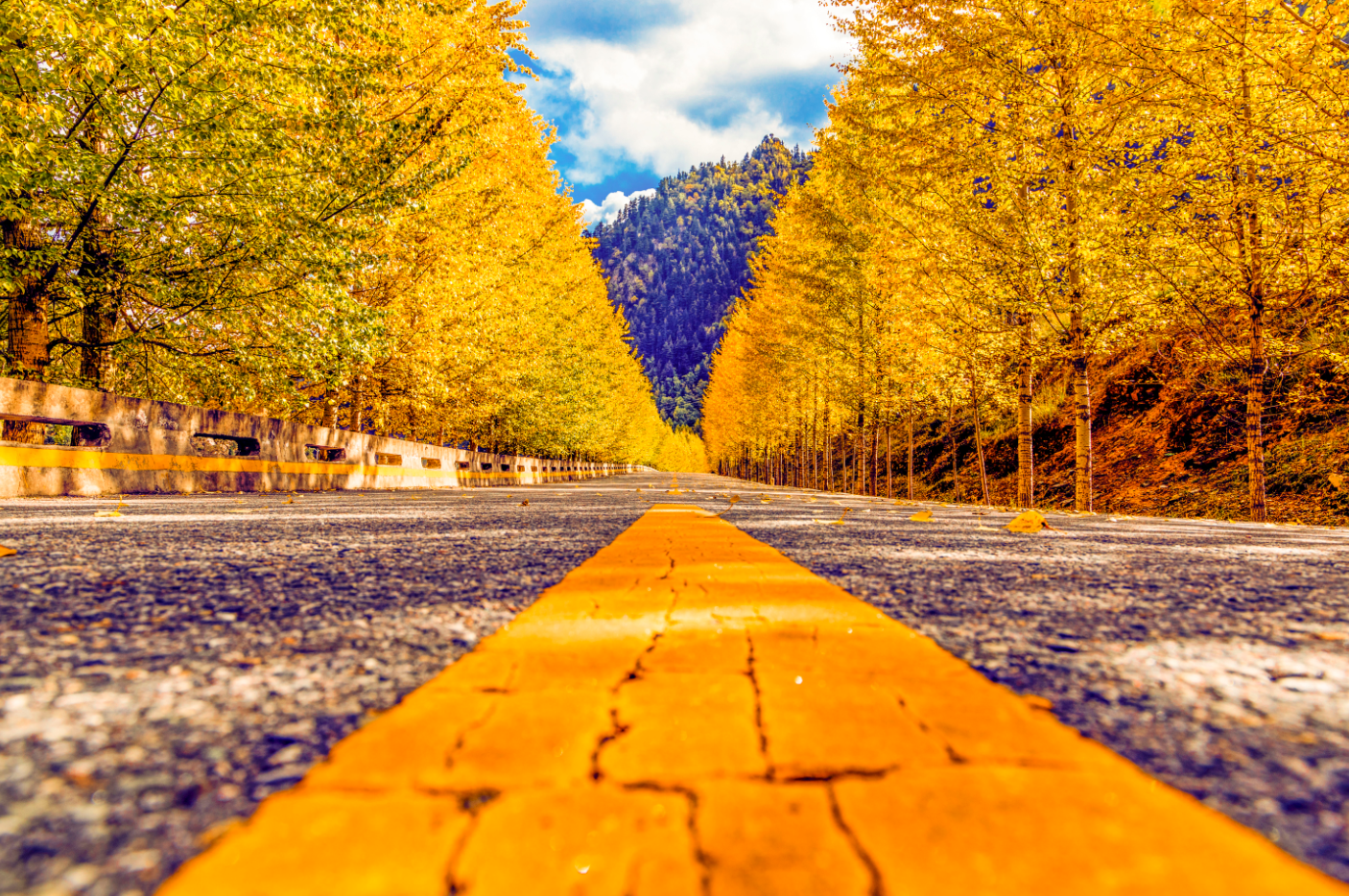 重庆出发冷龙岭7日自驾游：冷龙岭-北山林场-仙米林场-网红公路-桑科草原7日自驾游