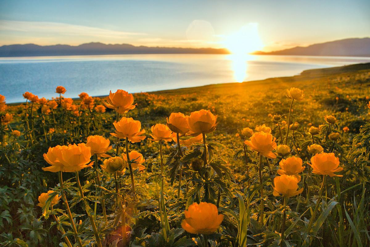 暑假全国出发新疆-北疆10日自驾游：喀纳斯·禾木·江布拉克·唐布拉百里画廊·独库公路（含租车）