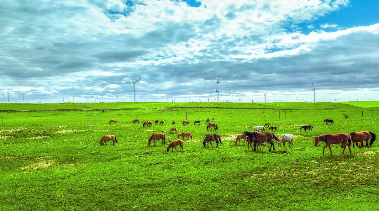 纵情美丽草原，探访红色星球5日自驾之旅