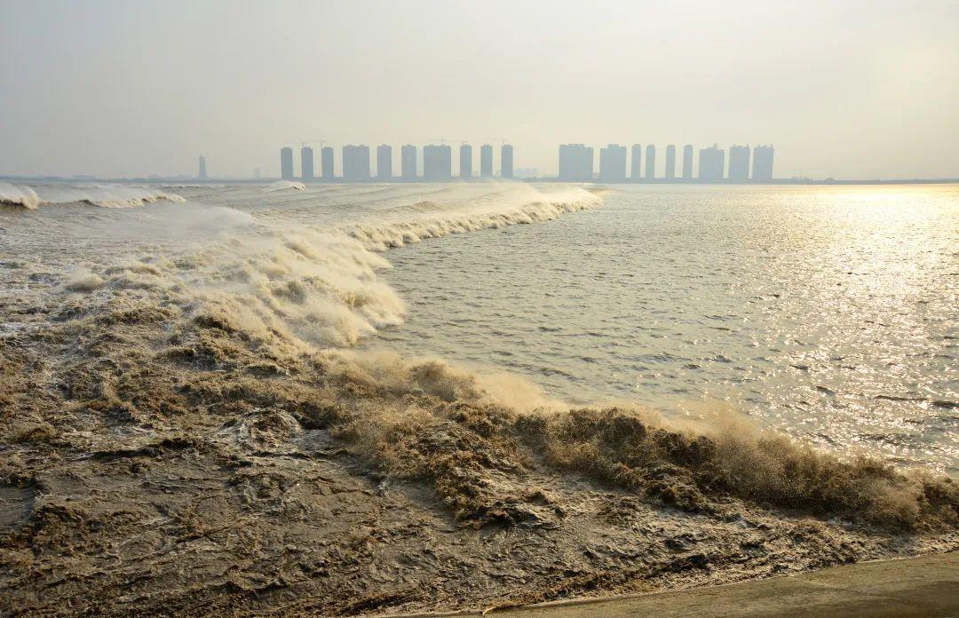 自驾下江南北京出发山东-安徽-浙江8日自驾路书：观钱塘江大潮，游江南古镇，畅游江南水乡