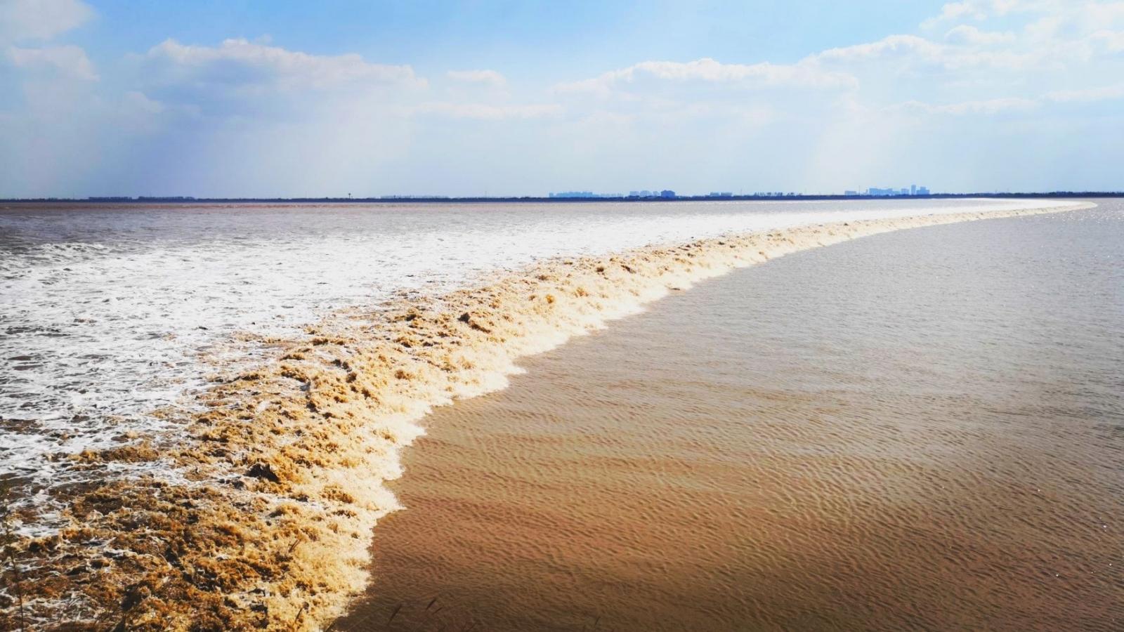 安徽出发浙江3日自驾游：观钱塘江大潮-游绍兴鲁迅故里-赏乌镇美景3日游