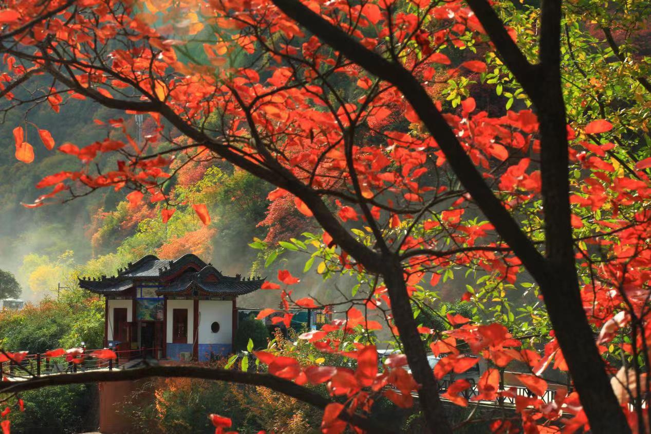 重庆出发秦岭赏秋5日自驾路书：穿越秦岭腹地，一起去看南北分界的秦岭秋色5日自驾