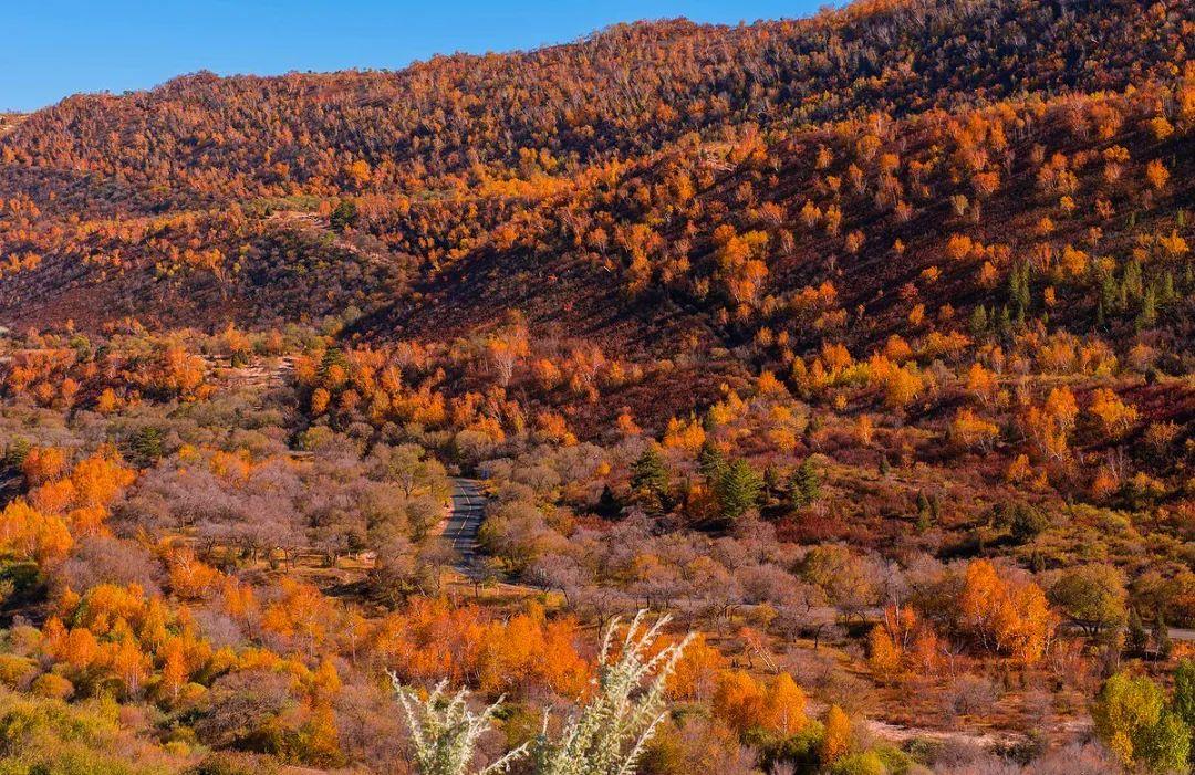 北京出发内蒙赤峰5日自驾路书：猎艳西拉木伦金色世界，移步换景多彩风景大道5日自驾之旅