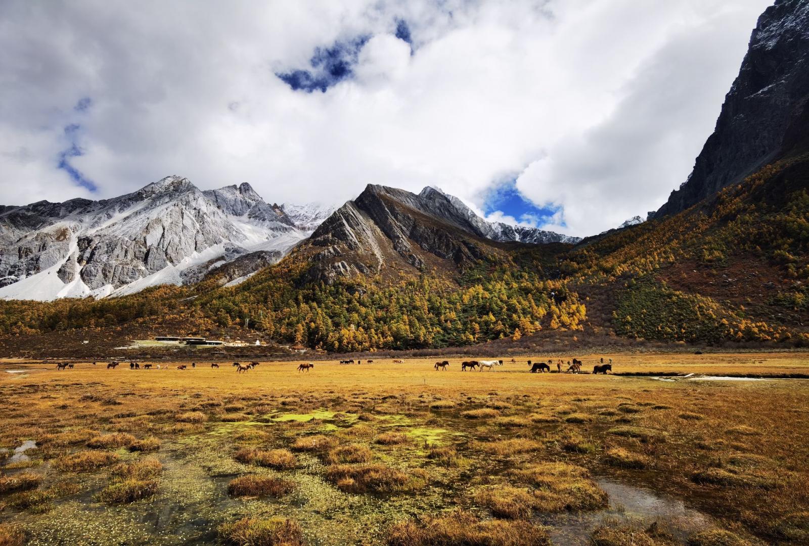 重庆出发稻城亚丁6日自驾路书：【香格里拉之魂】康定新都桥-稻城亚丁6日游自驾游