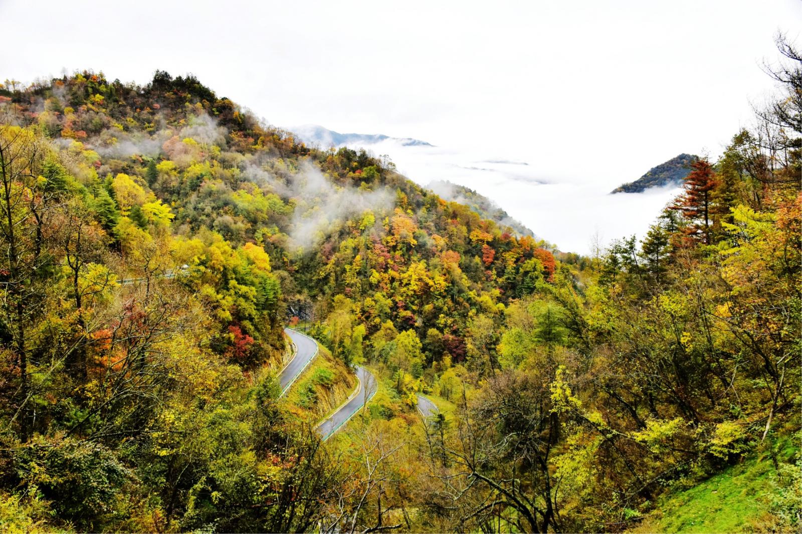 重庆出发穿越大巴山4日自驾路书：大巴山秘境-打卡绝壁天路兰英大峡谷-城口亢谷-大宁河峡谷4日游