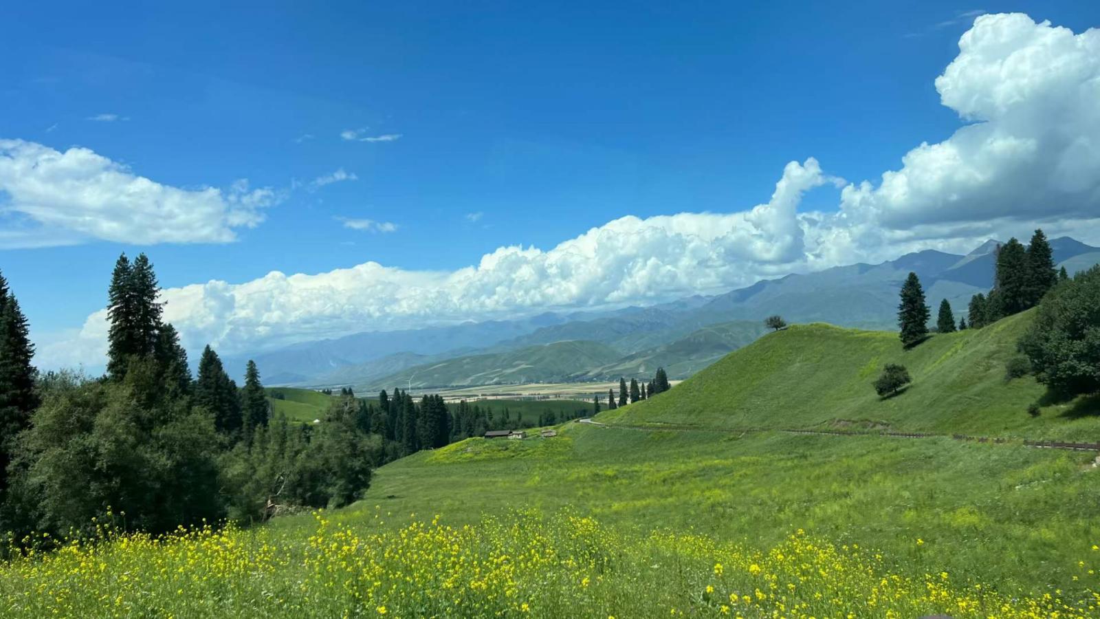 乌鲁木齐集合北疆伊犁环线11日自驾游：北疆布尔津-喀纳斯-禾木-世界魔鬼城-伊犁赛里木湖-那拉提-吐鲁番11日自驾游