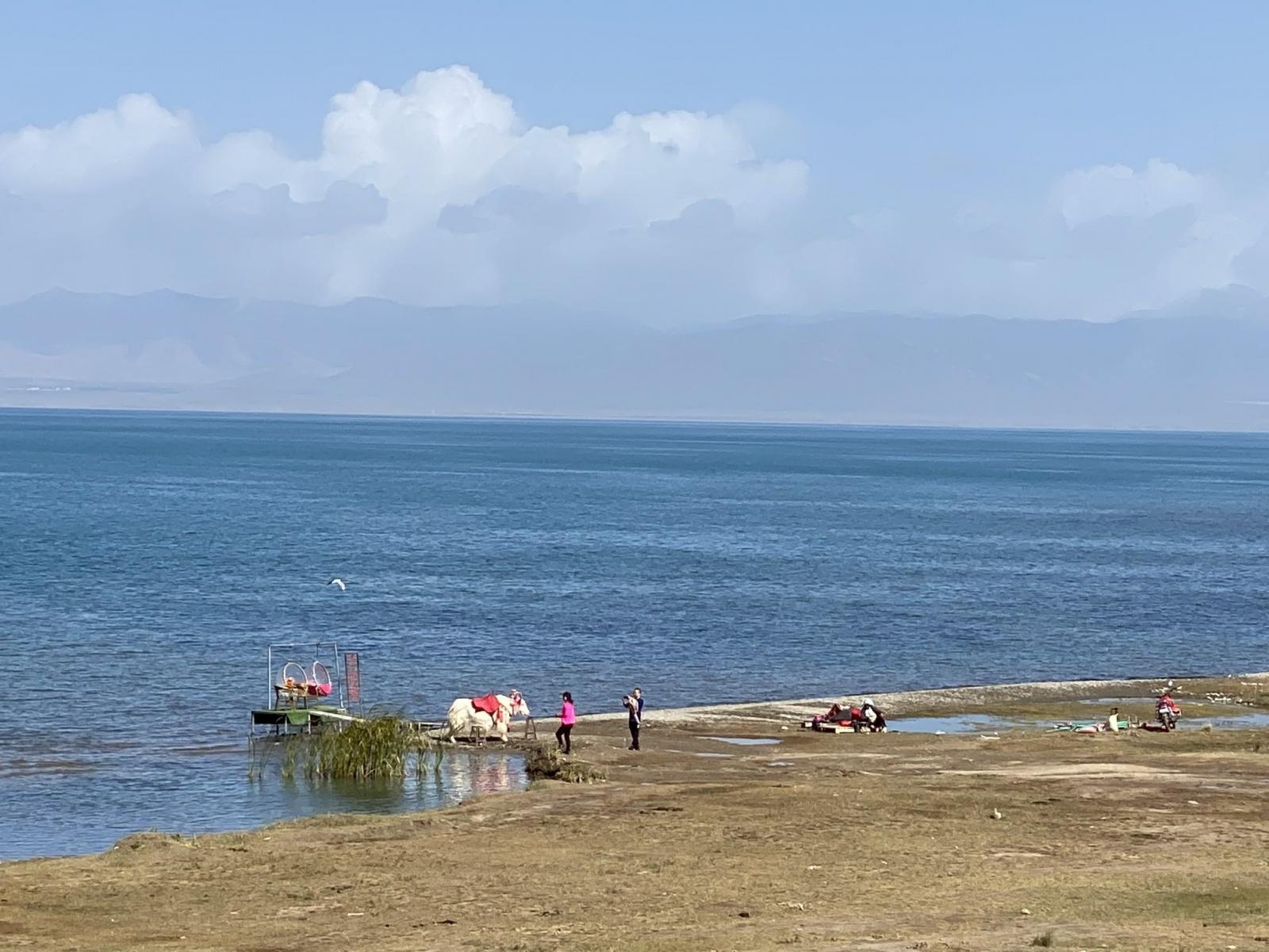 西宁集合4-6人青海5日包车游：【漫游青海】西宁-门源-祁连-刚察-茶卡盐湖-青海湖5日游