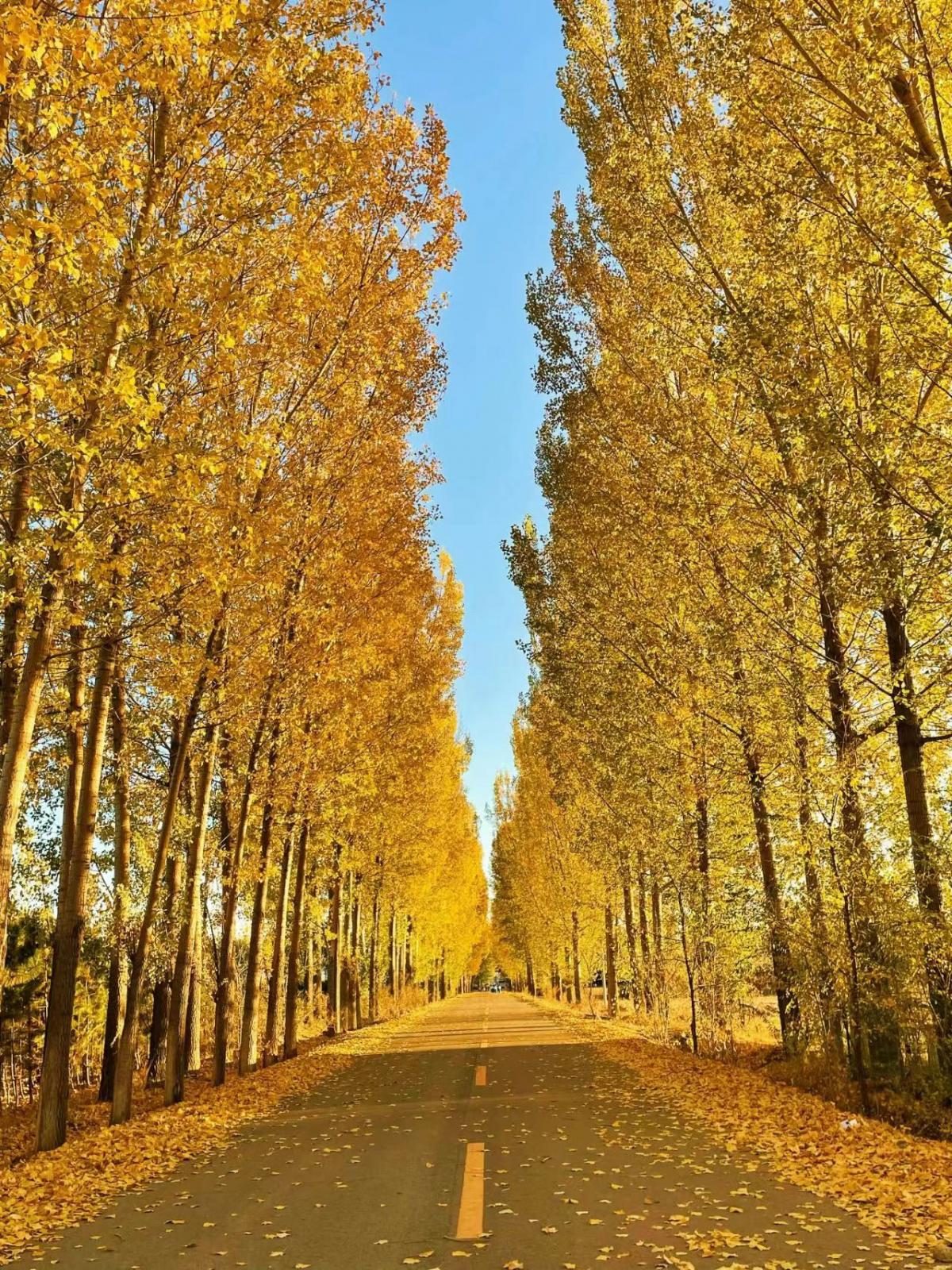 2023国庆 | 大秦知秋 • 古道穿越秦岭4日自驾