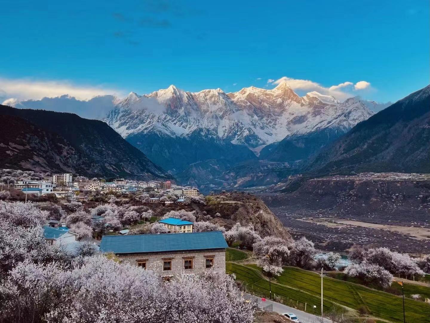 林芝桃花节西藏15日自驾游：[藏域桃花]川进青出-波密桃花沟-来古冰川-然乌湖-布达拉宫15日游