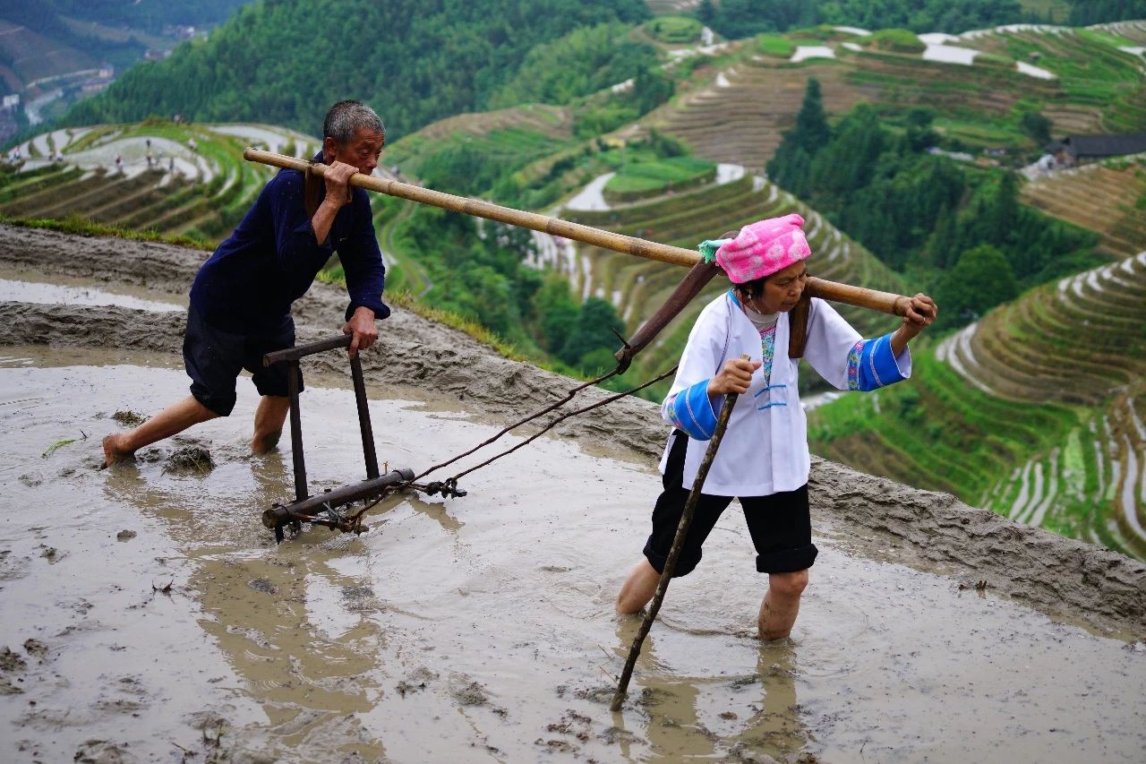 广东珠三角出发广西3日自驾游：桂林龙脊梯田梳秧节少数民族风情-阳朔西街-世外桃源3日自驾游