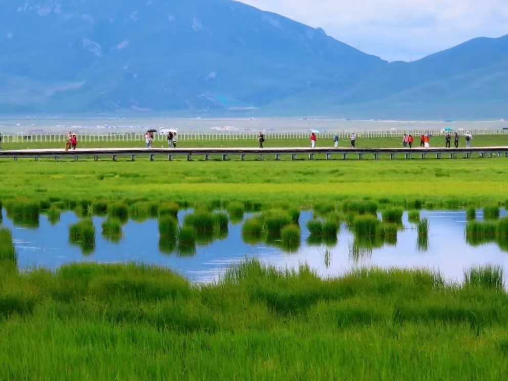 重庆出发川北甘南4日自驾游：若尔盖花湖-红原-九曲黄河第一湾4日甘南自驾之旅