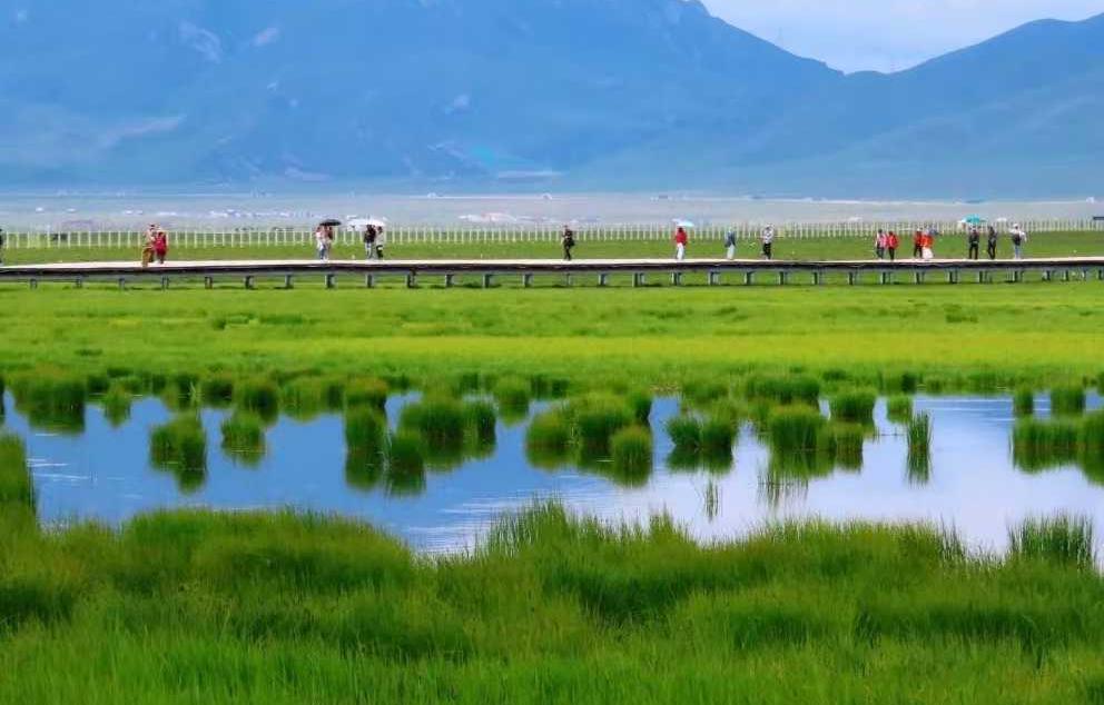 绝美甘南：若尔盖花湖-红原-九曲黄河第一湾4日甘南自驾之旅
