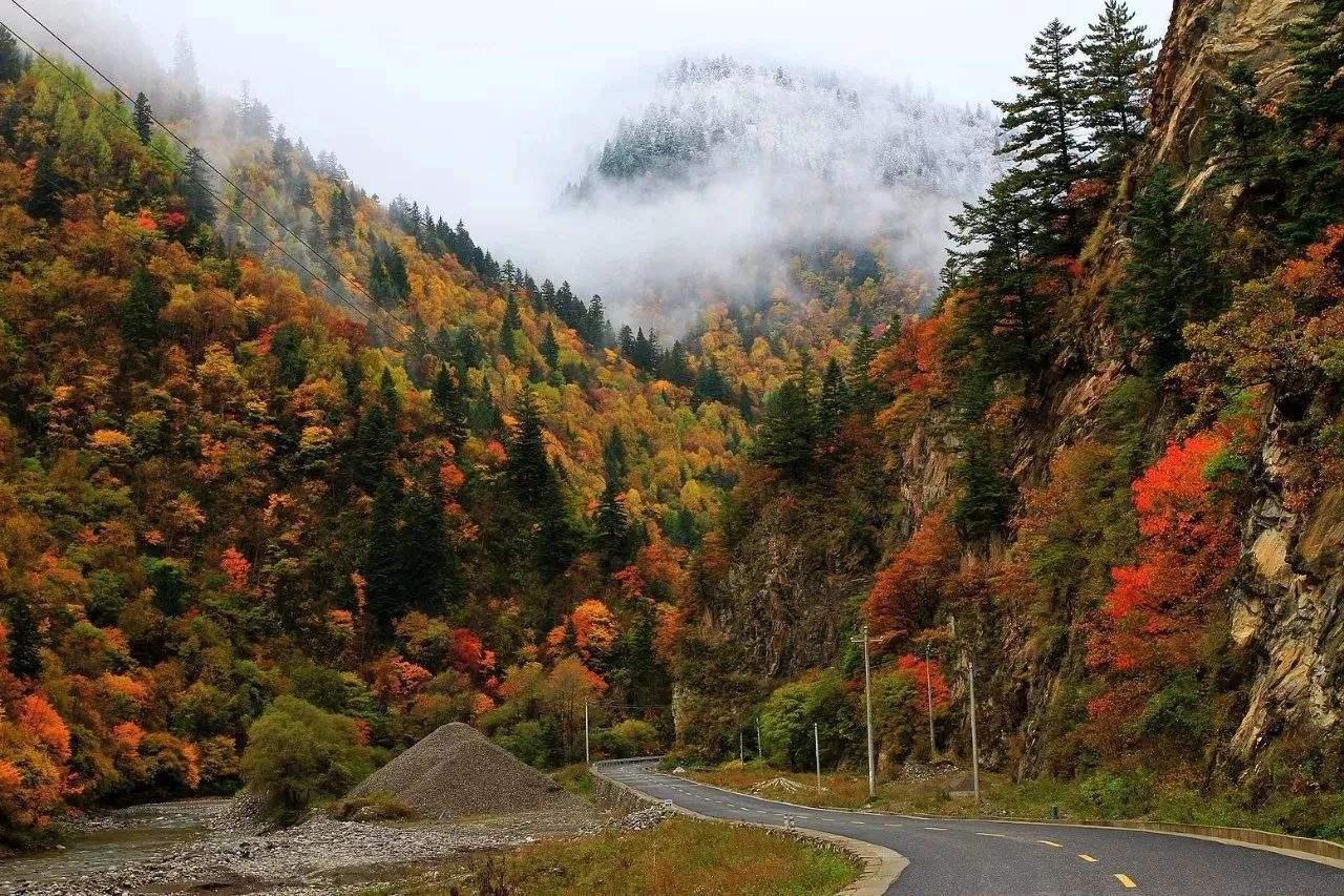 重庆出发川西阿坝赏秋3日自驾游：双沟交错尽享彩林，奶子沟+毕棚沟3日自驾