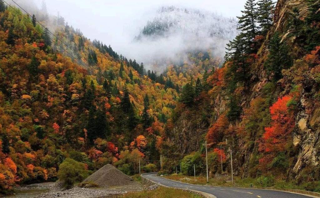 重庆出发川西阿坝赏秋3日自驾游：双沟交错尽享彩林，奶子沟+毕棚沟3日自驾