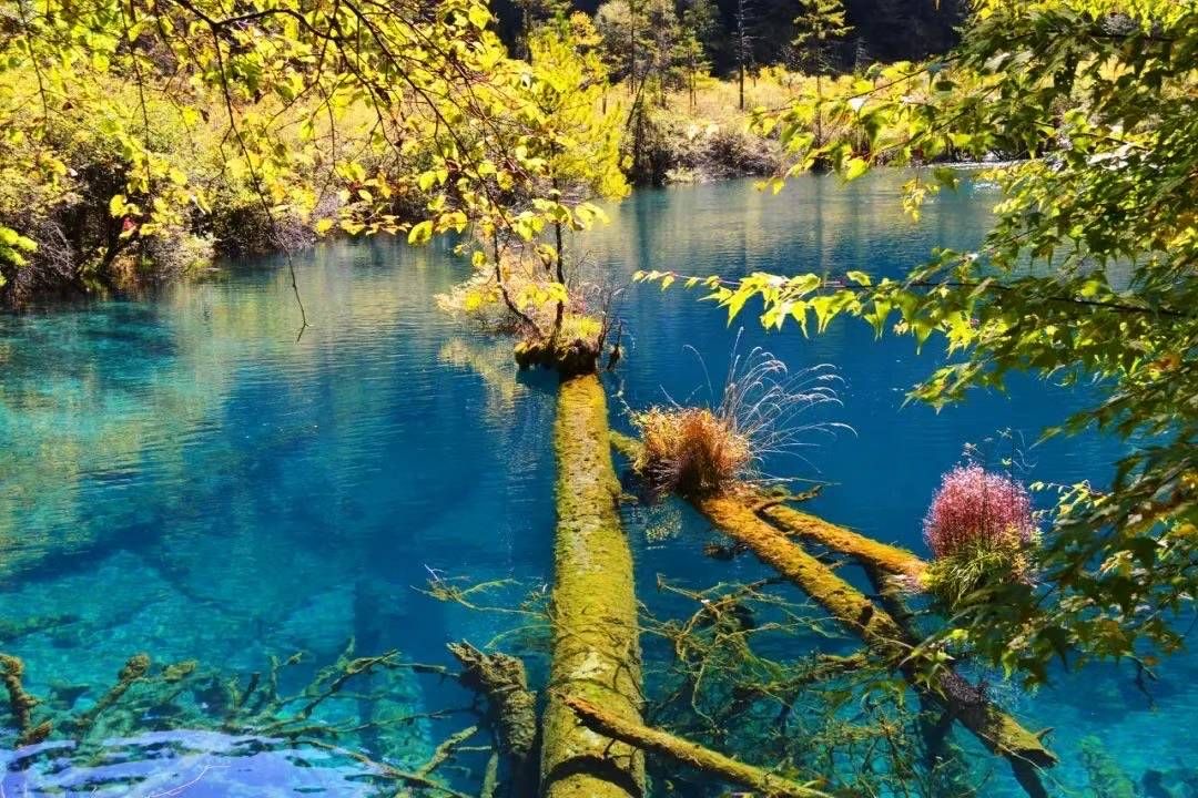 重庆出发川西九寨4日自驾游：【九寨黄龙】九寨沟-黄龙-川主寺-松潘古城4日自驾