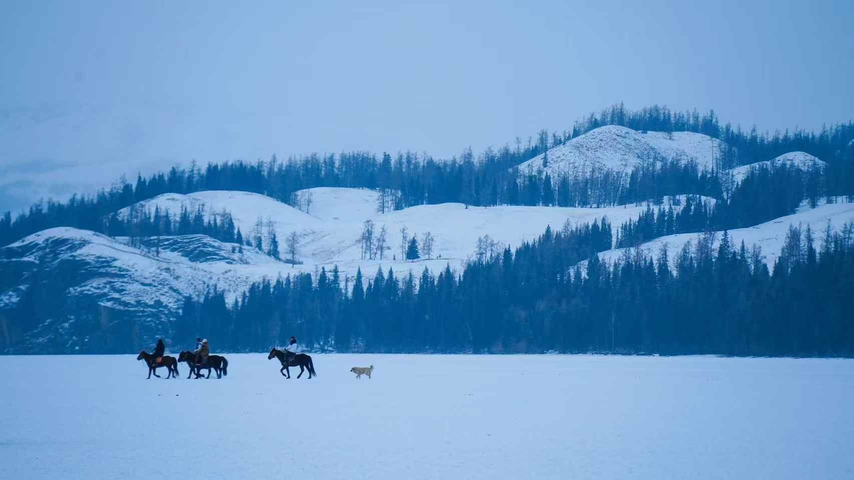 【冬雪沐歌】海上魔鬼城-禾木-喀纳斯-白哈巴-世界魔鬼城-赛里木湖-安集海10日自驾游