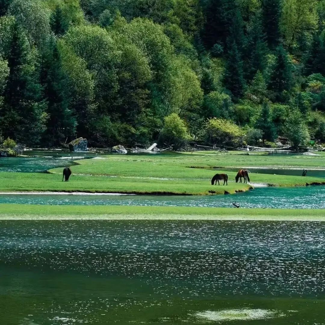 重庆出发川西4日自驾游：【月亮之上】康定月亮湖-子梅垭口-甲根坝-鱼子西-塔公草原-机场路4日游
