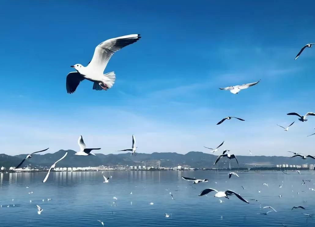 武汉出发贵州云南15日自驾游：贵州铜仁-遵义-六盘水-云南大理丽江-德宏芒市瑞丽-保山腾冲15日游