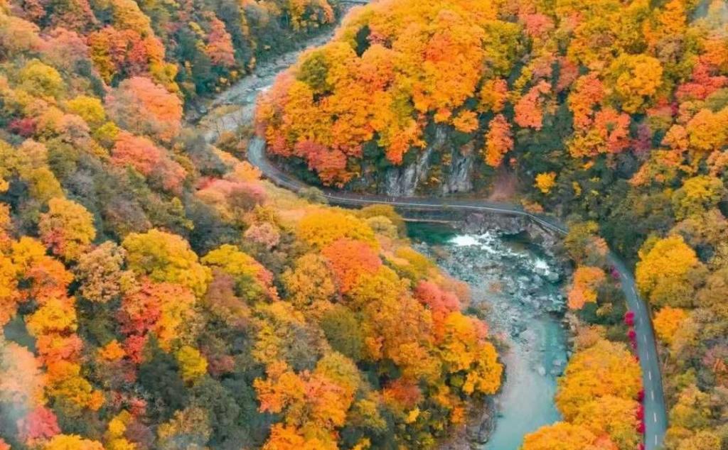 武汉出发秦岭赏秋7日自驾路书：探秦岭秘境赏秦巴秋色，华阳古镇-太洋公路-黄柏塬大箭沟-光雾山