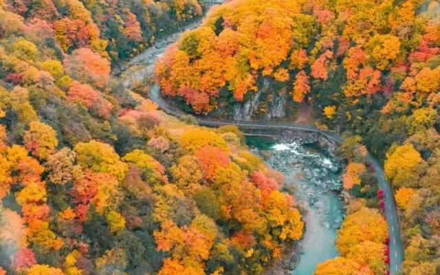 武汉出发秦岭赏秋7日自驾路书：探秦岭秘境赏秦巴秋色，华阳古镇-太洋公路-黄柏塬大箭沟-光雾山