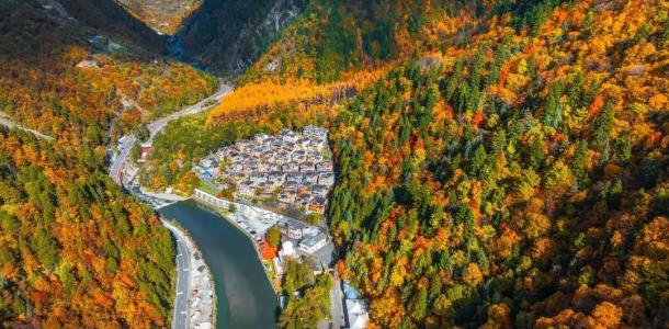 重庆出发川西阿坝赏秋3日自驾游：【多彩奶子沟】羊茸哈德藏寨-彩林大道-霸王雪山3日自驾-大自驾网