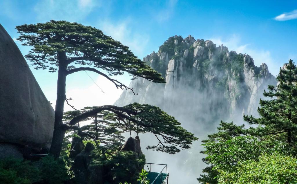 湖北宜昌集结安徽江西9日自驾游:【水墨徽州】黄山-宏村-西递-婺源-景德镇9日游