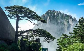 湖北宜昌集结安徽江西9日自驾游：【水墨徽州】黄山-宏村-西递-婺源-景德镇9日游-推荐