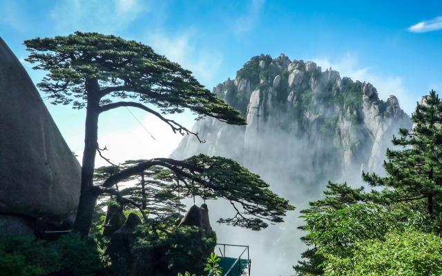 湖北宜昌集结安徽江西9日自驾游：【水墨徽州】黄山-宏村-西递-婺源-景德镇9日游