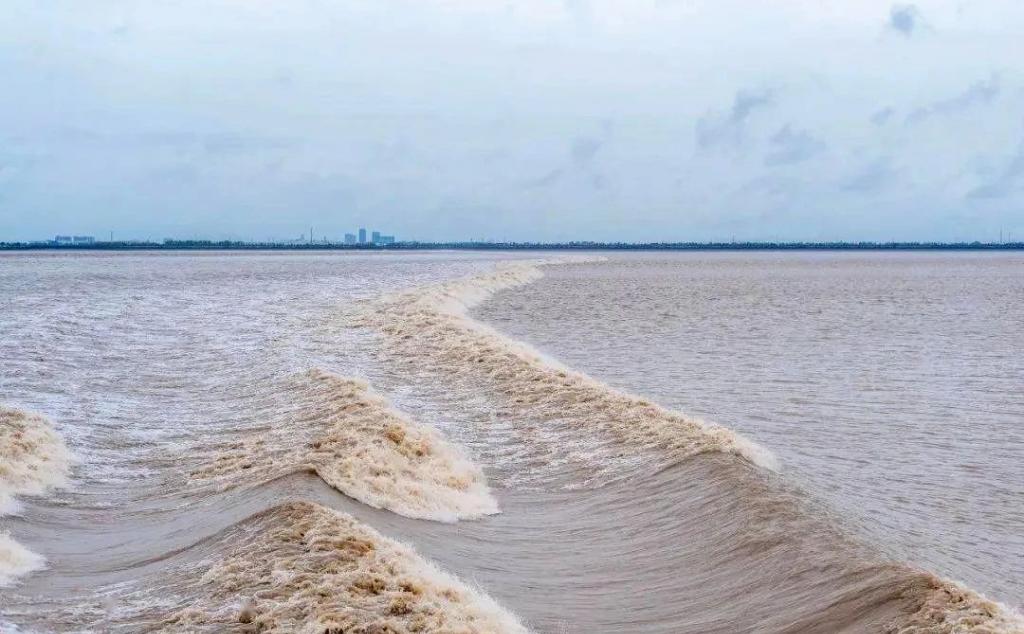 武汉出发江浙6日自驾游:【寻味江南】钱塘江观潮-鲁迅故里-品阳澄湖大闸蟹轻奢美食6日游