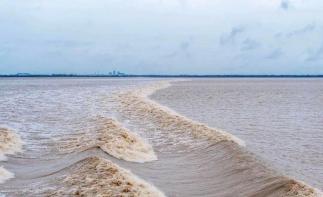 武汉出发江浙6日自驾游：【寻味江南】钱塘江观潮-鲁迅故里-品阳澄湖大闸蟹轻奢美食6日游-推荐