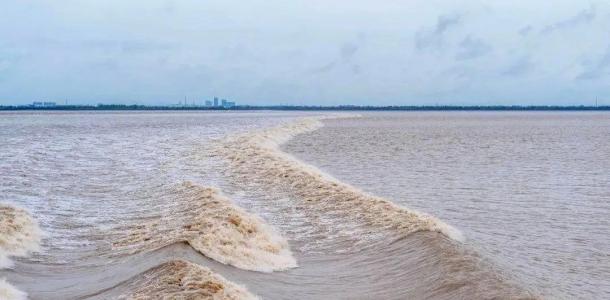 武汉出发江浙6日自驾游：【寻味江南】钱塘江观潮-鲁迅故里-品阳澄湖大闸蟹轻奢美食6日游