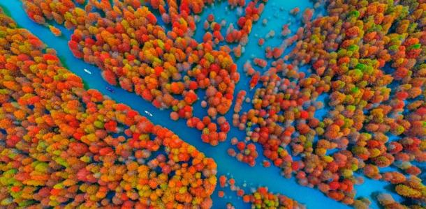 武汉出发安徽皖南4日自驾游：【皖南秋色】落羽红杉林-皖南小川藏线-水墨汀溪-犁桥水镇-大通古镇4日游