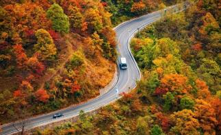 安徽出发湖北神农架4日自驾游：【秋摄神农】野趣神农架-穿越原始森林-驾游神农顶摄影美食4日游-推荐