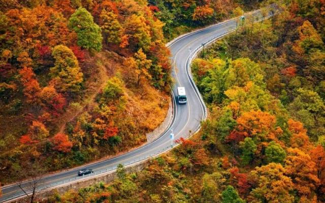 安徽出发湖北神农架4日自驾游：【秋摄神农】野趣神农架-穿越原始森林-驾游神农顶摄影美食4日游