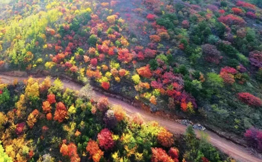 北京出发河北3日自驾游：太行五指山赏秋-漫步赤水湾古镇-西柏坡忆初心-柏坡温泉享惬意